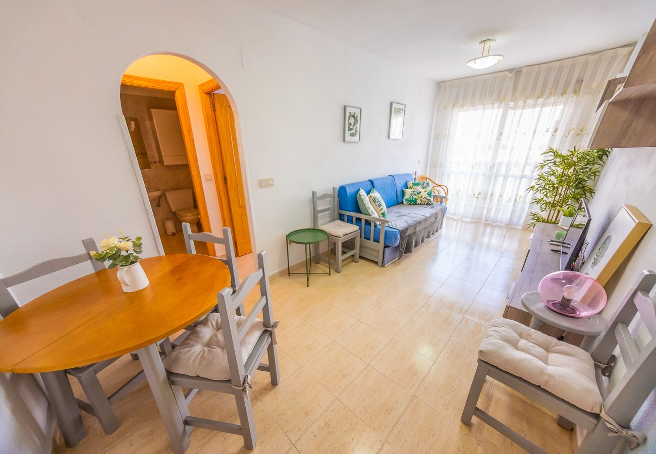 Apartamento en Torrevieja - ID27