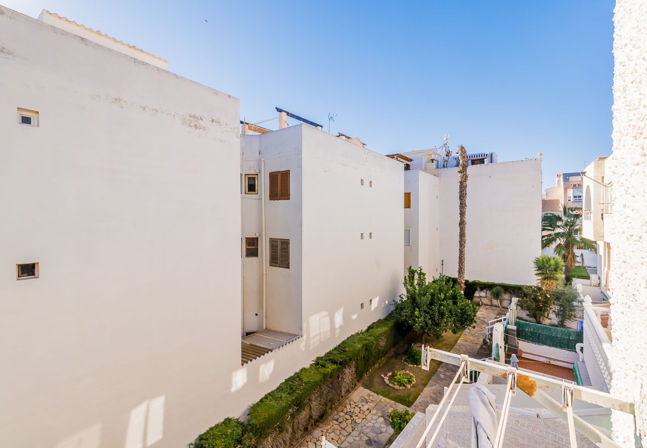 Apartamento en Torrevieja - ID39