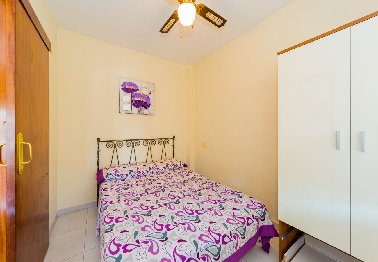 Apartamento en Torrevieja - ID99