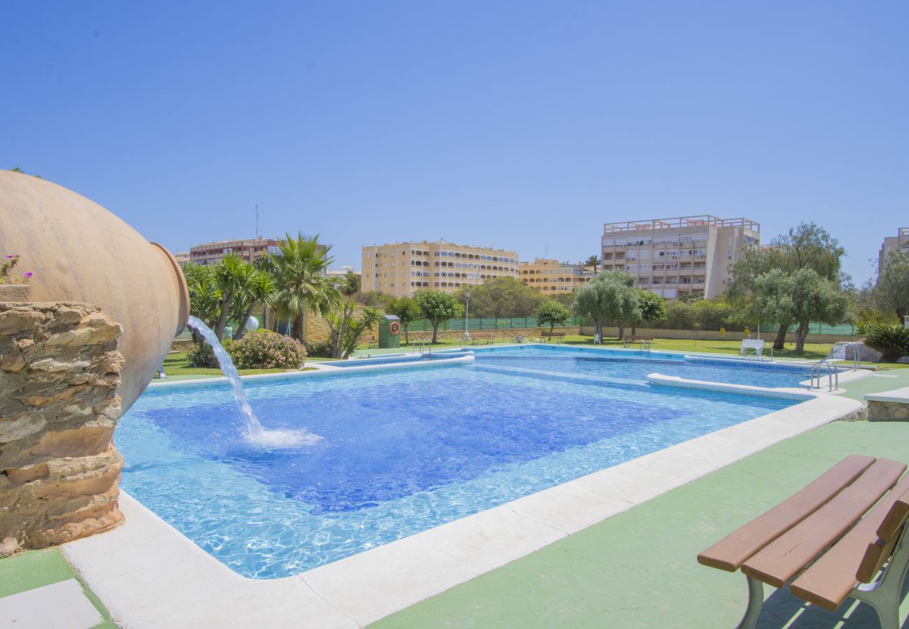 Apartamento en Torrevieja - ID100