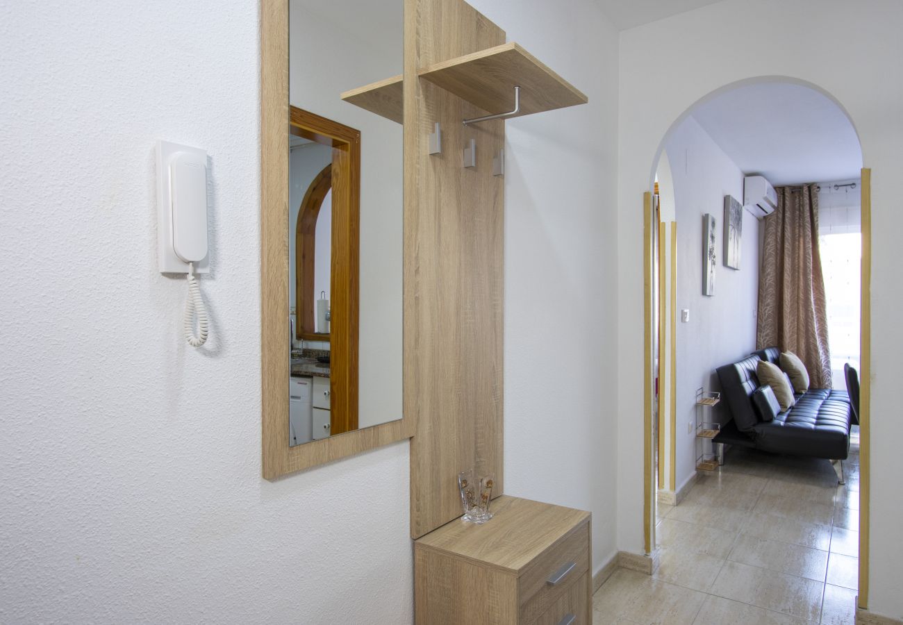 Apartamento en Torrevieja - ID104