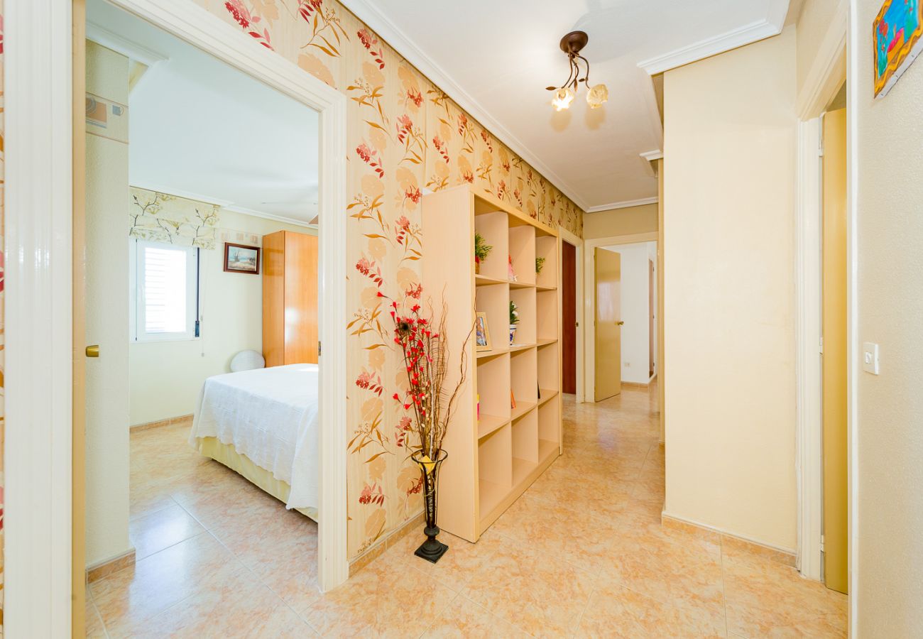 Apartamento en Torrevieja - ID114