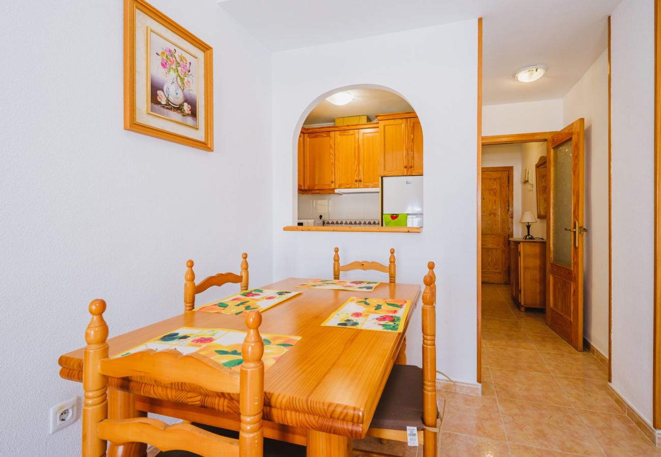 Apartamento en Torrevieja - ID116