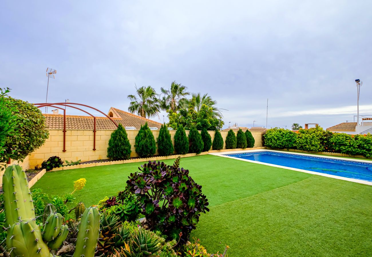 Villa en Torrevieja - ID119