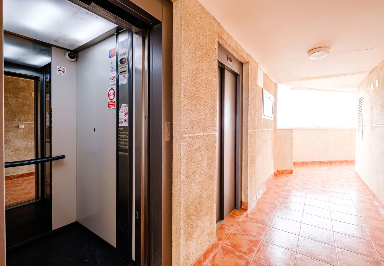 Apartamento en Torrevieja - ID125