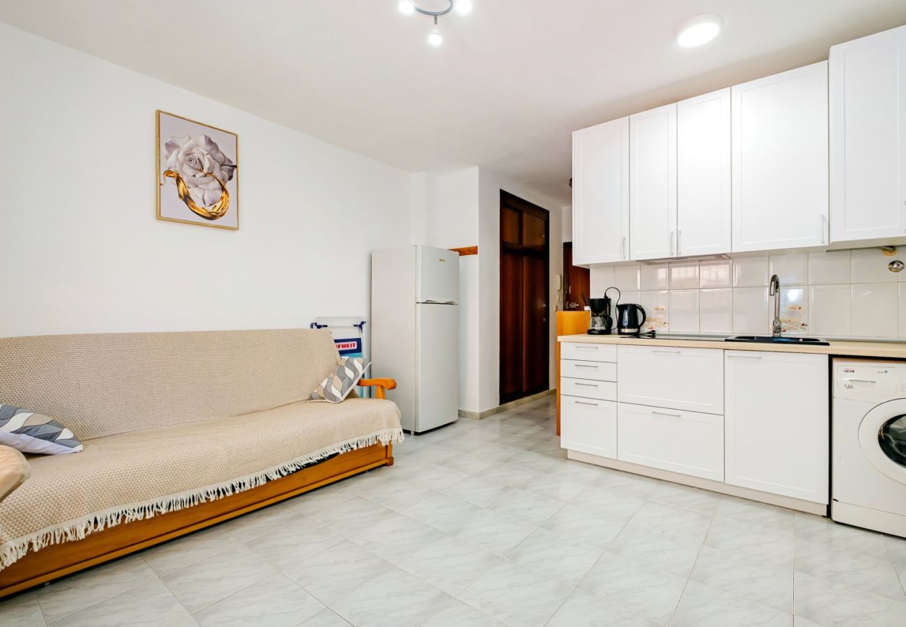 Apartamento en Torrevieja - ID134