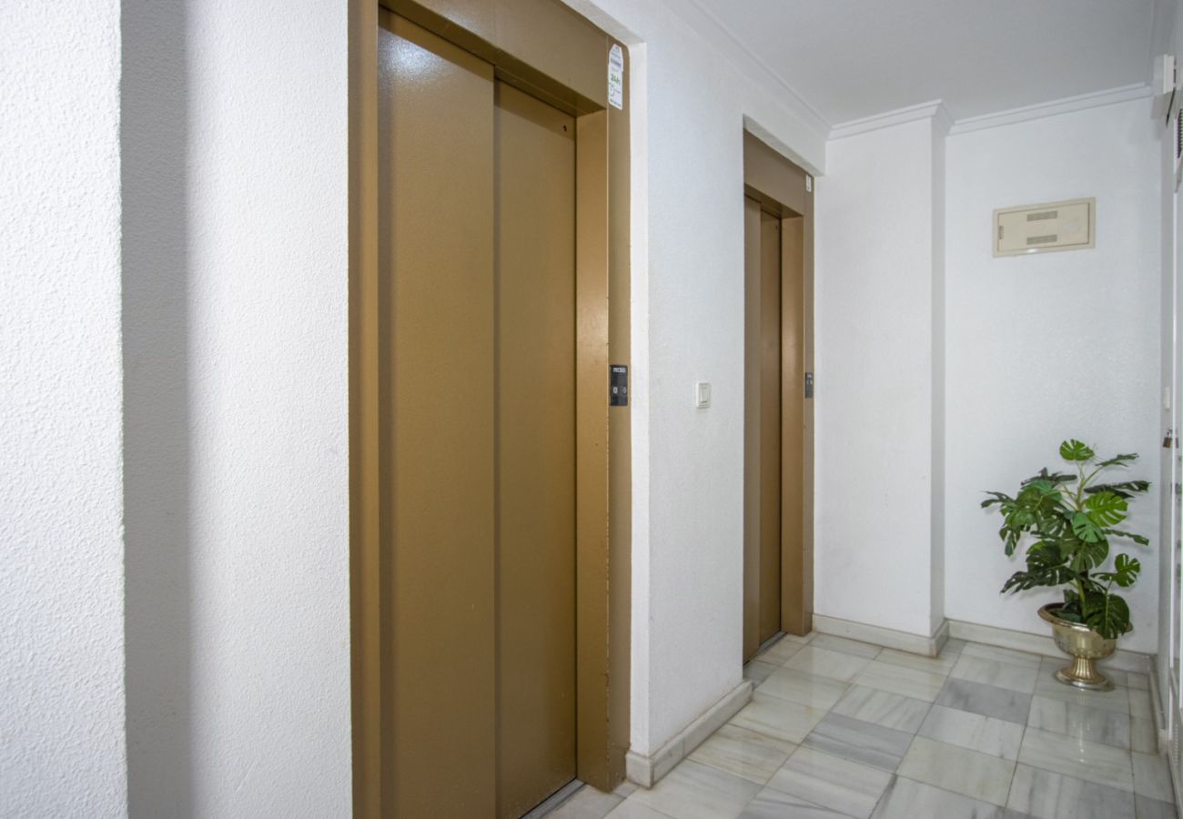 Apartamento en Torrevieja - ID194