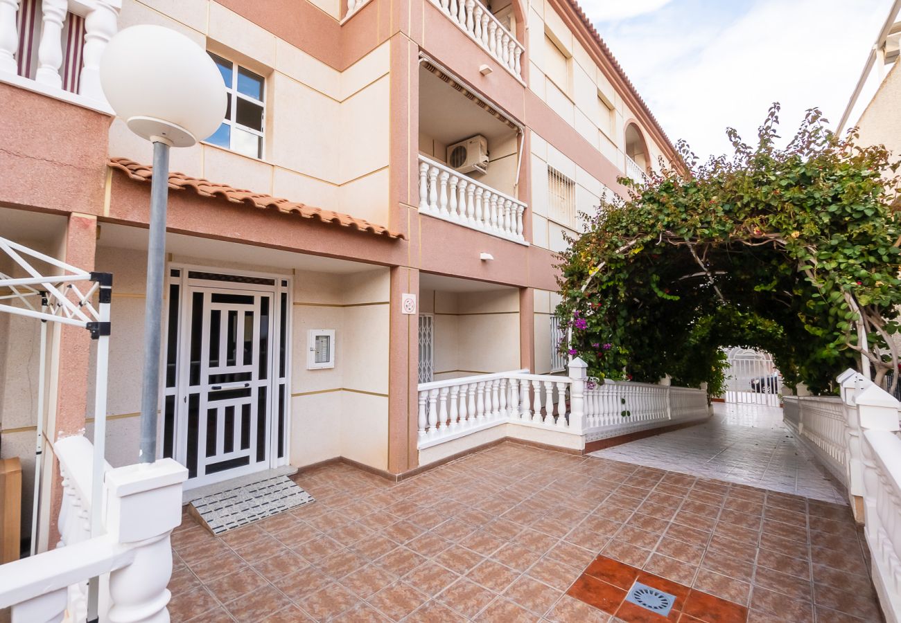 Apartamento en Torrevieja - ID197