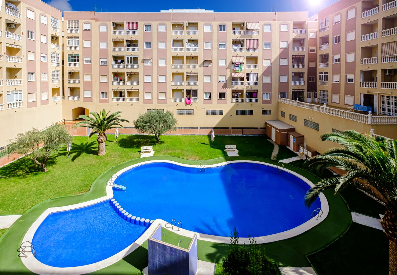 Apartamento en Torrevieja - ID202