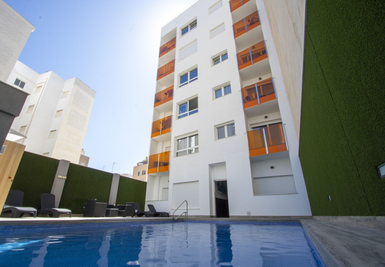 Apartamento en Torrevieja - ID177