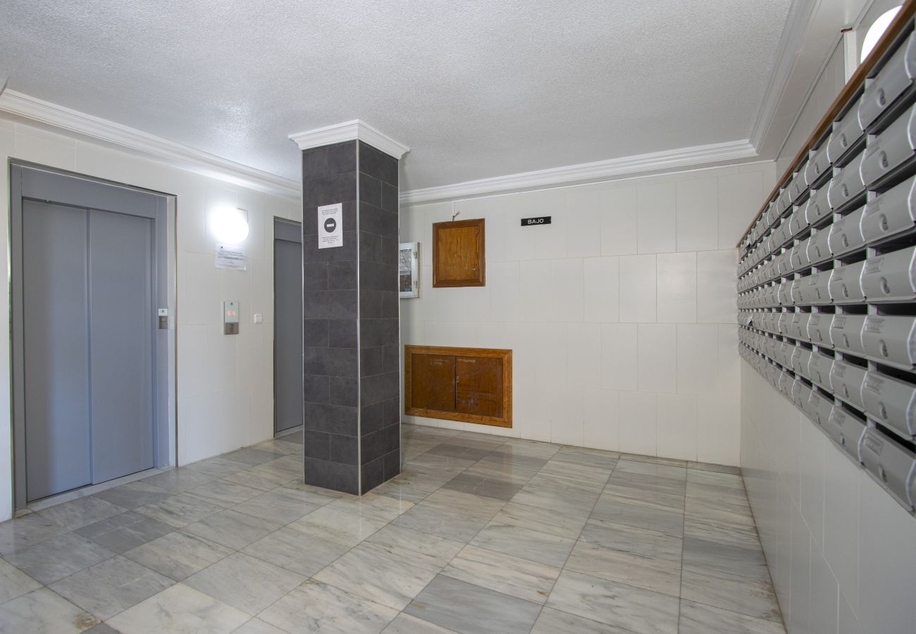 Apartamento en Torrevieja - ID136