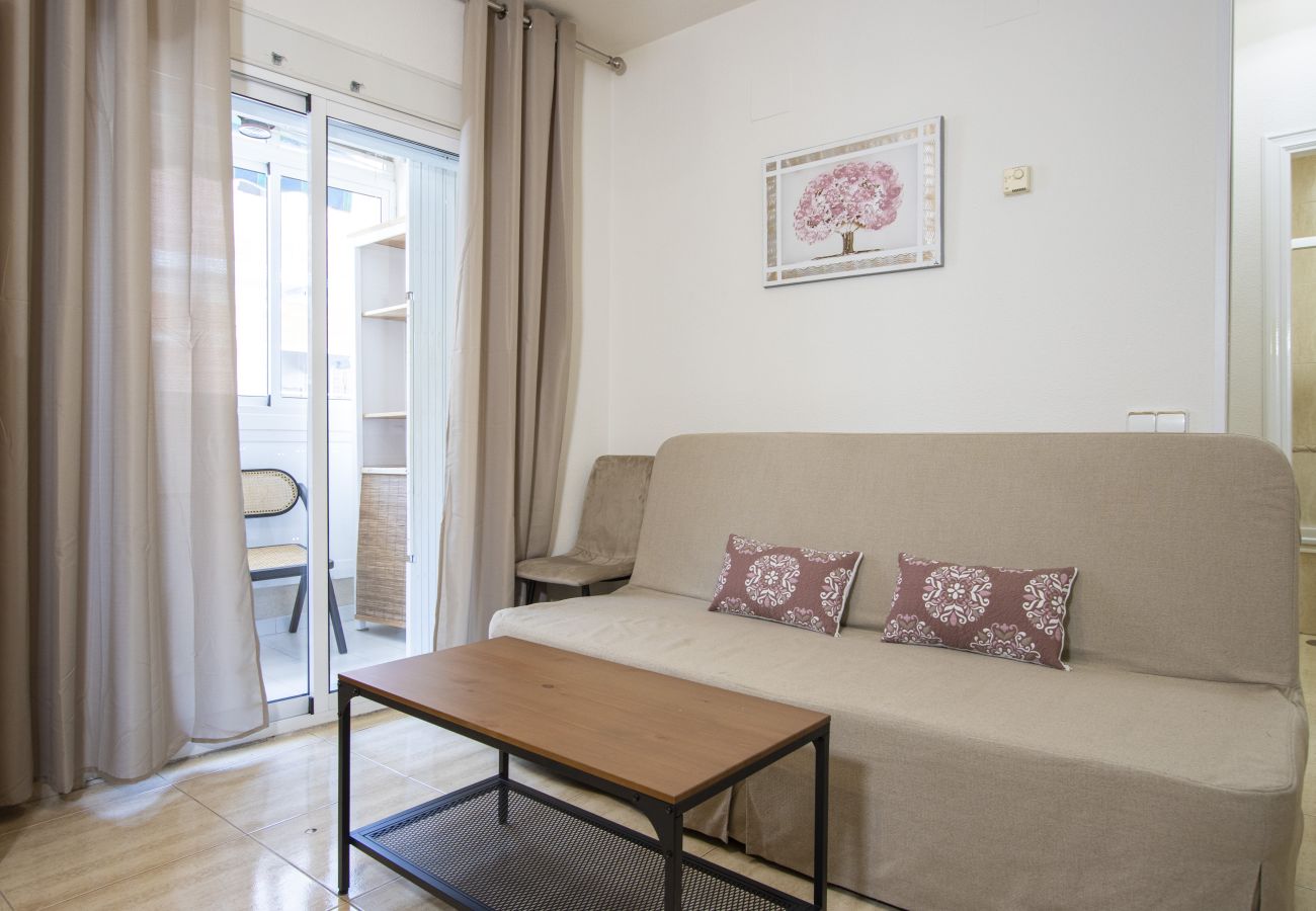 Apartamento en Torrevieja - ID146