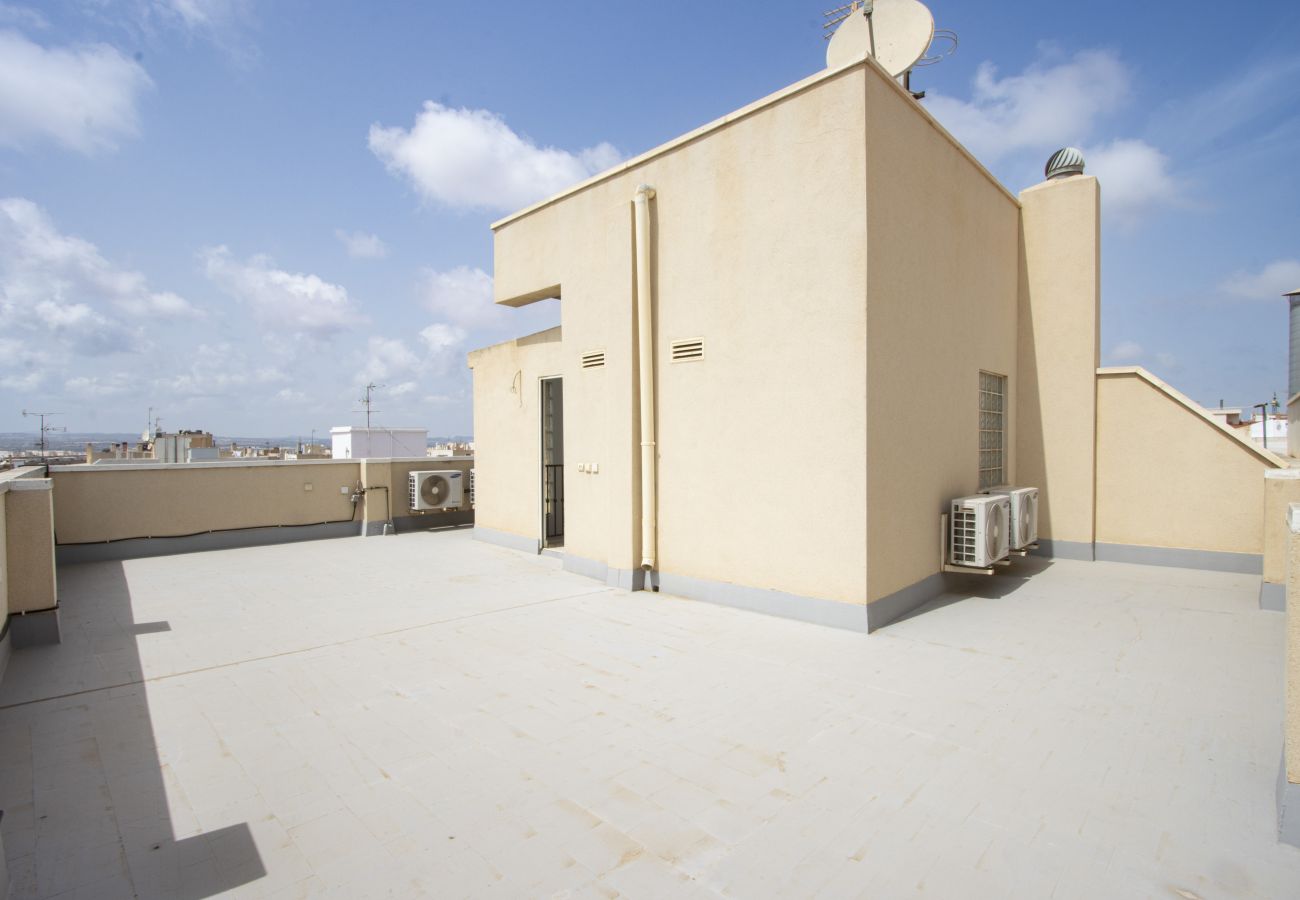 Apartamento en Torrevieja - ID170