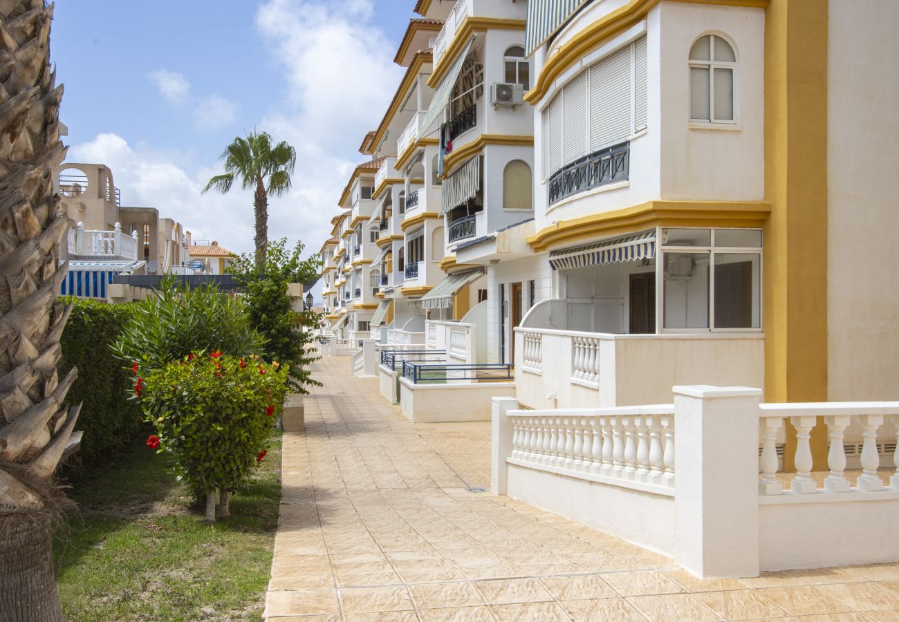 Apartamento en Torrevieja - ID184