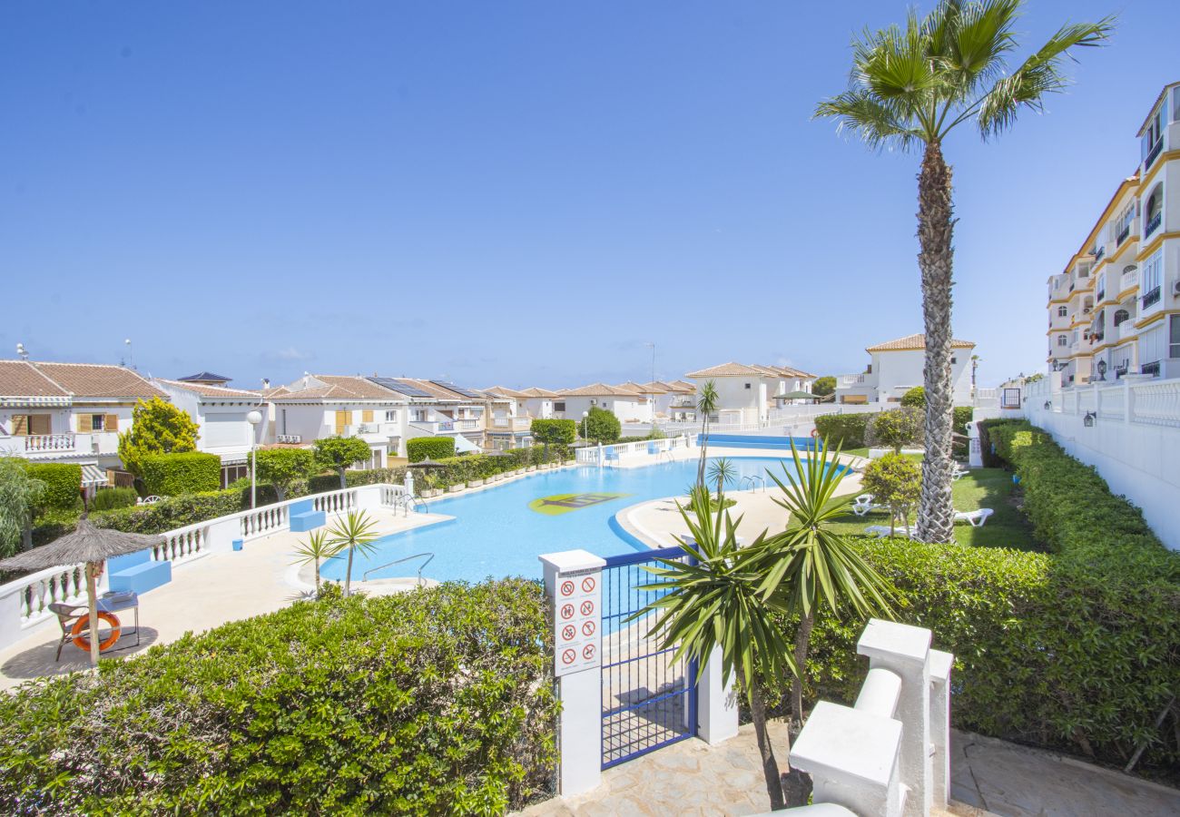 Apartamento en Torrevieja - ID184