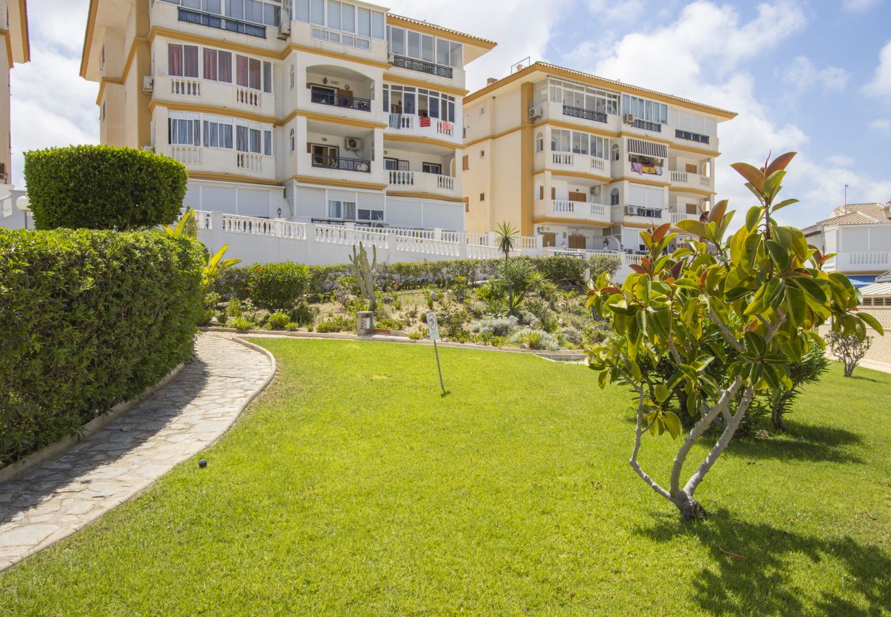 Apartamento en Torrevieja - ID184