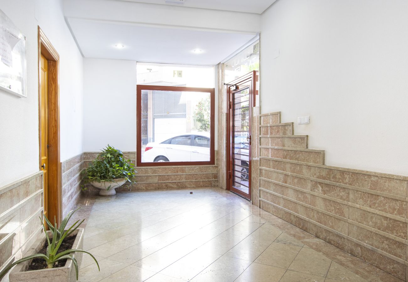 Apartamento en Torrevieja - ID130