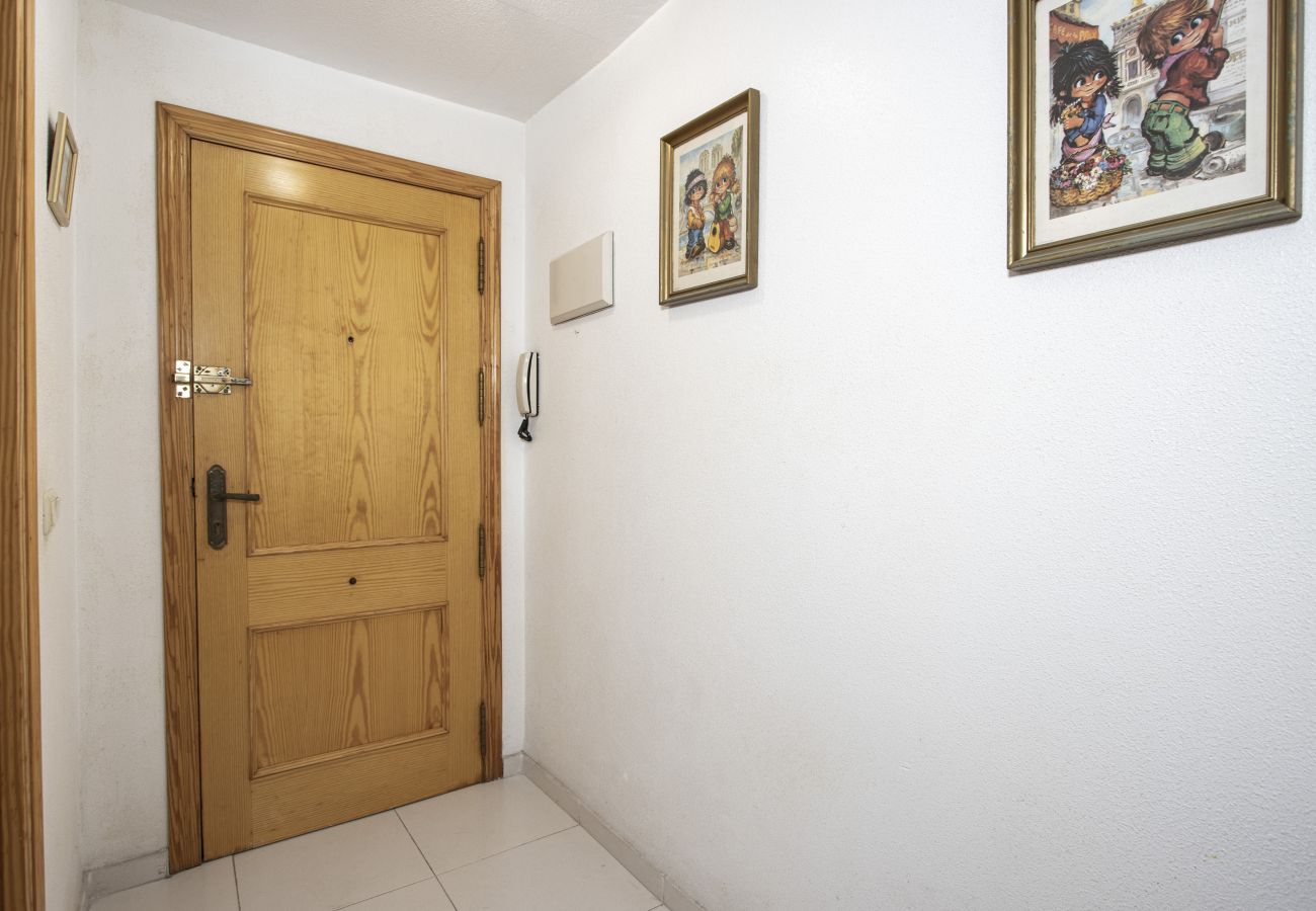 Apartamento en Torrevieja - ID130