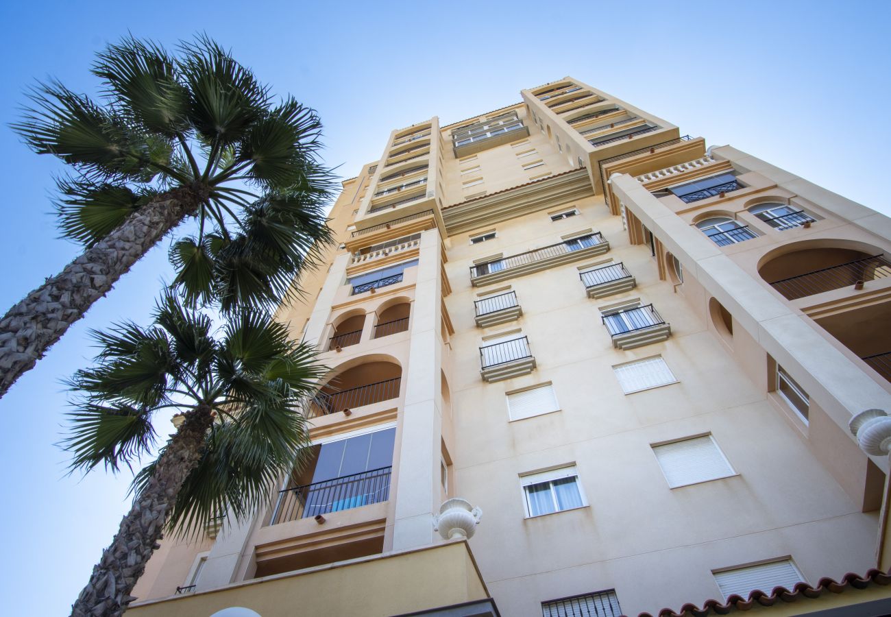 Apartamento en Torrevieja - ID17