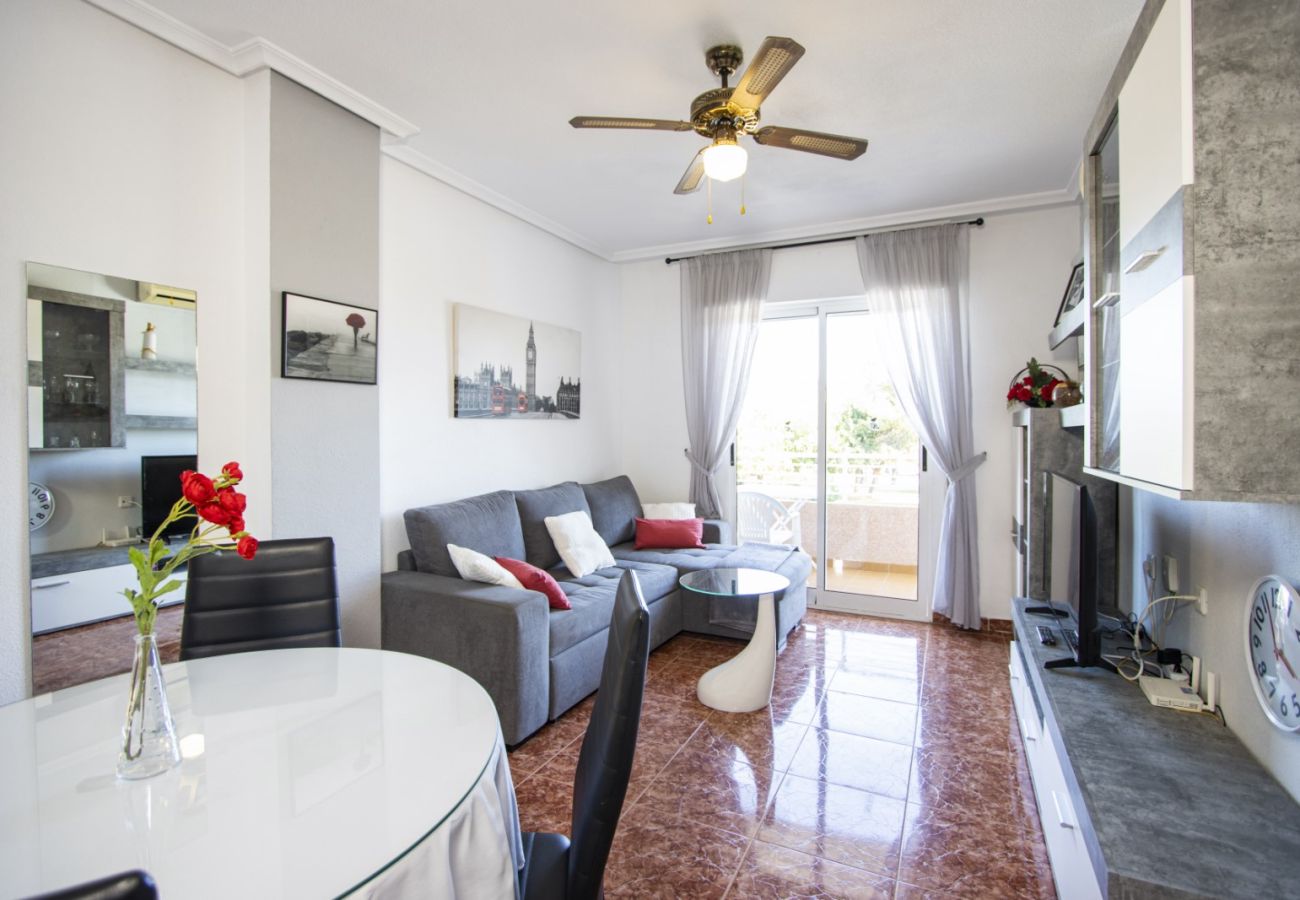 Apartamento en Torrevieja - ID155