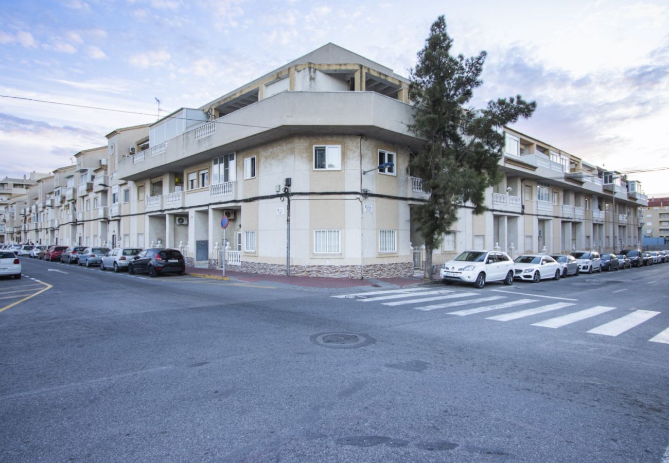 Apartamento en Torrevieja - ID173