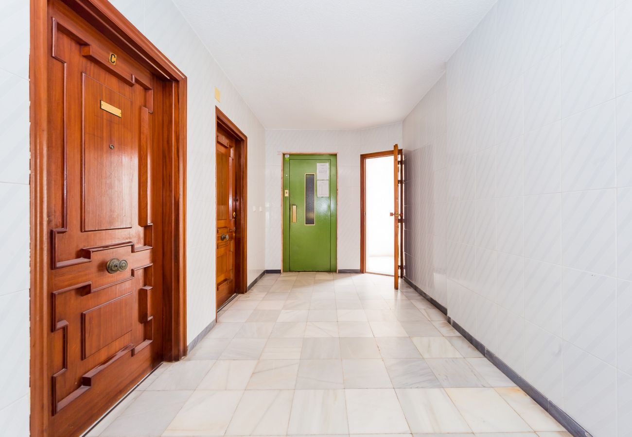 Apartamento en Torrevieja - ID106