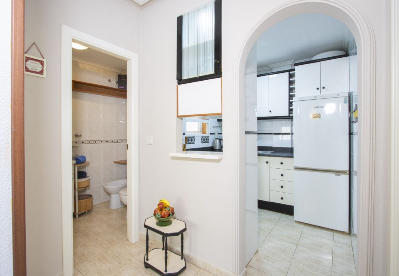 Apartamento en Torrevieja - ID100