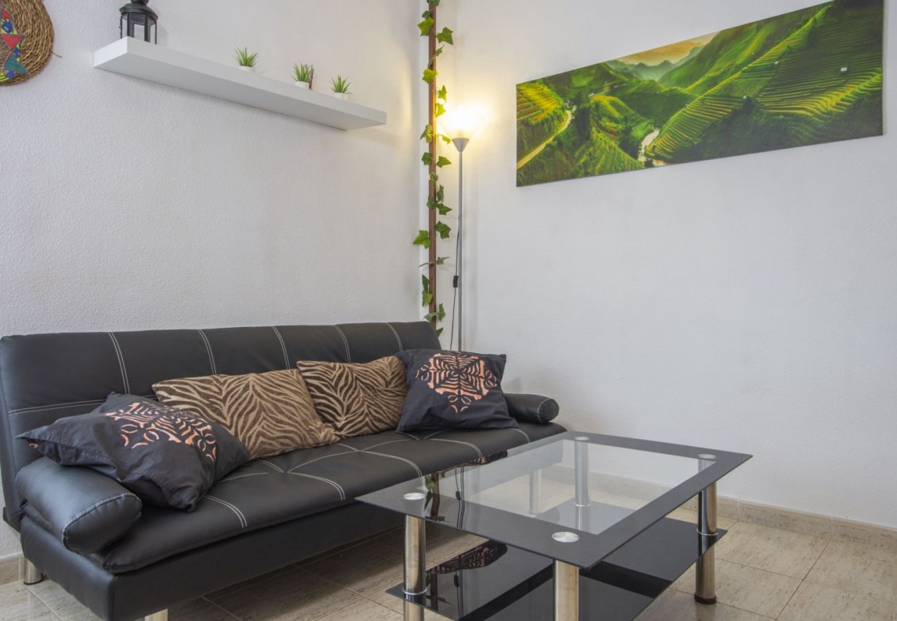 Apartamento en Torrevieja - ID100