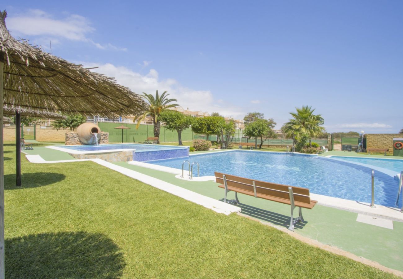 Apartamento en Torrevieja - ID100