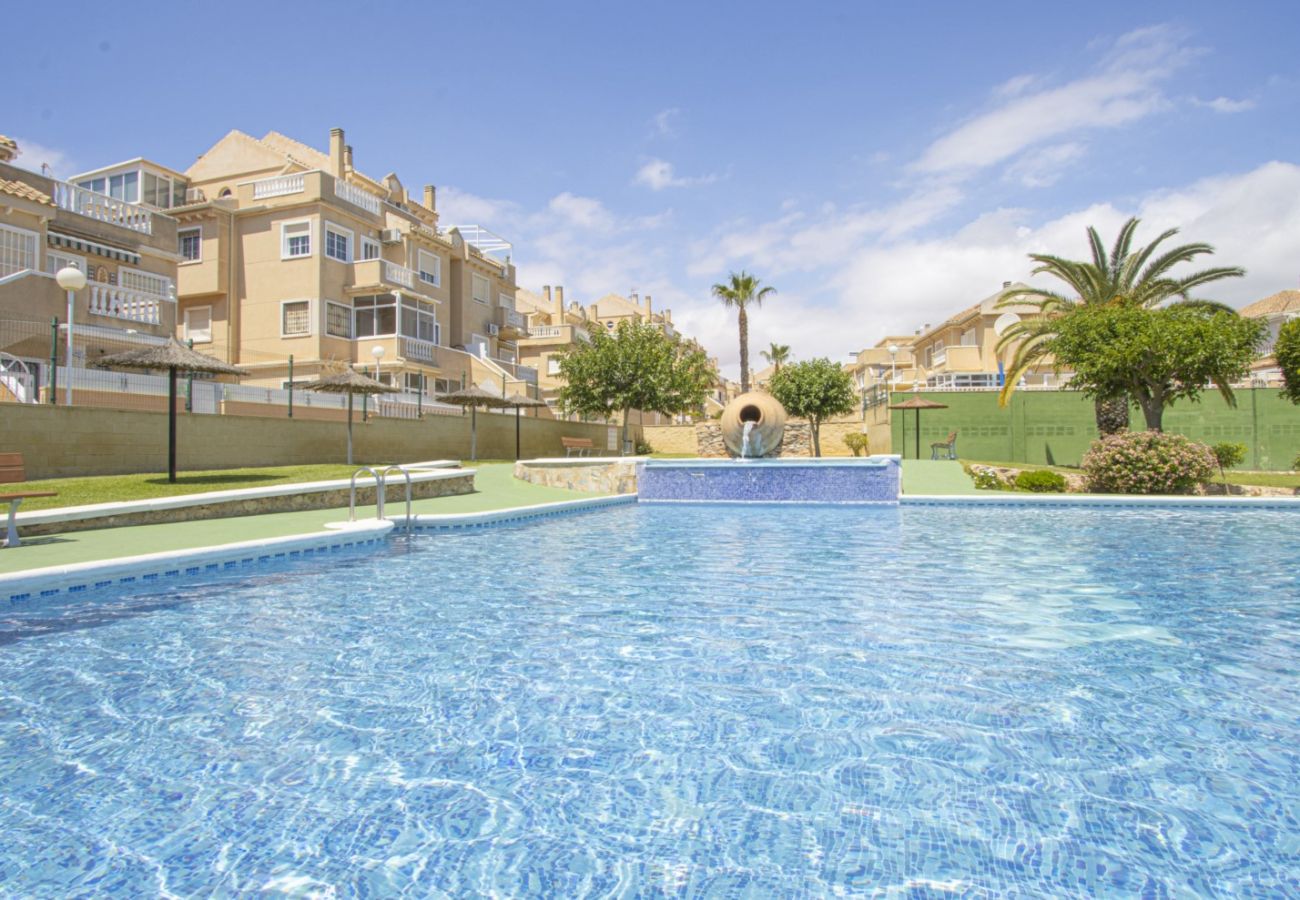 Apartamento en Torrevieja - ID100