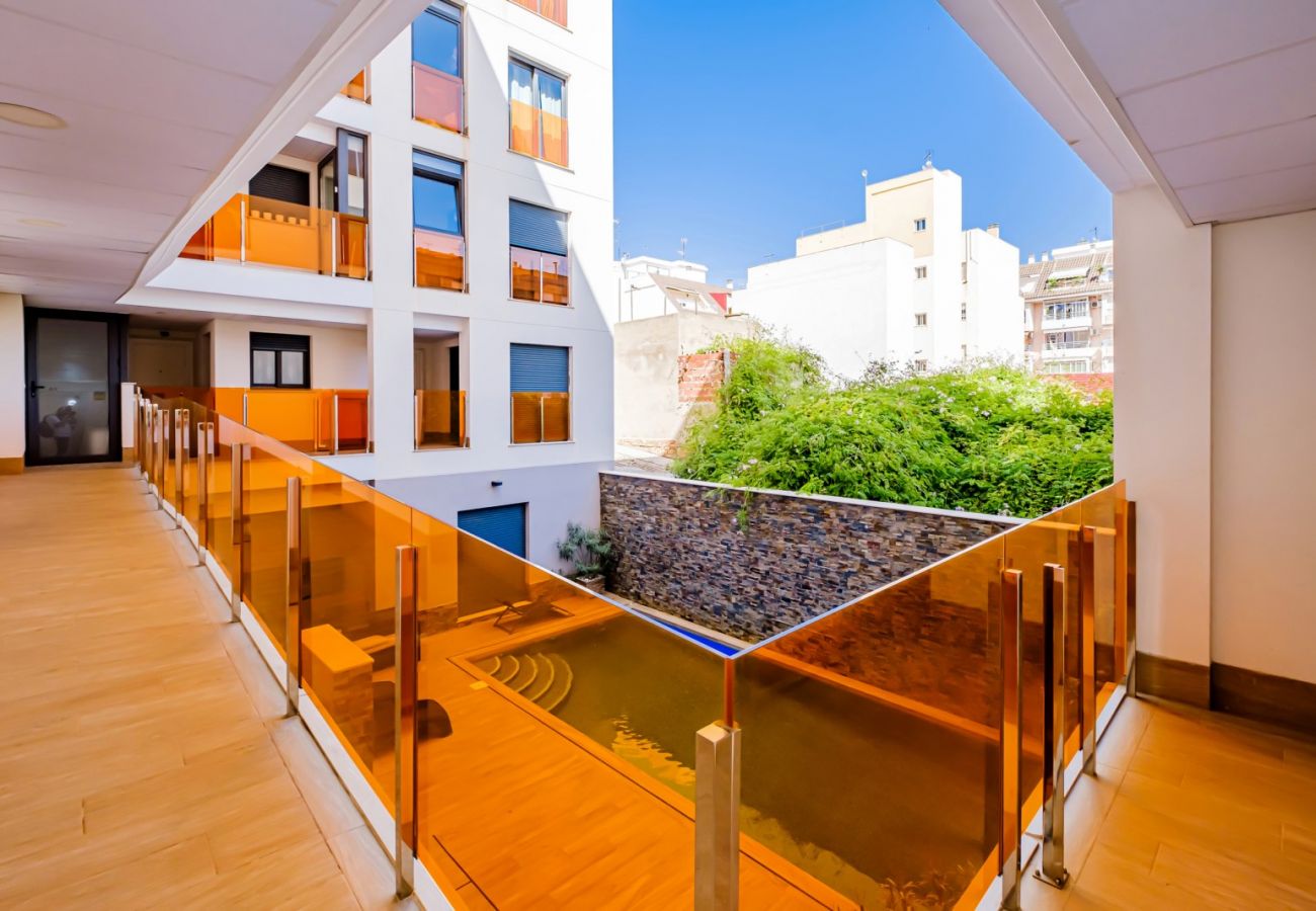 Apartamento en Torrevieja - ID152