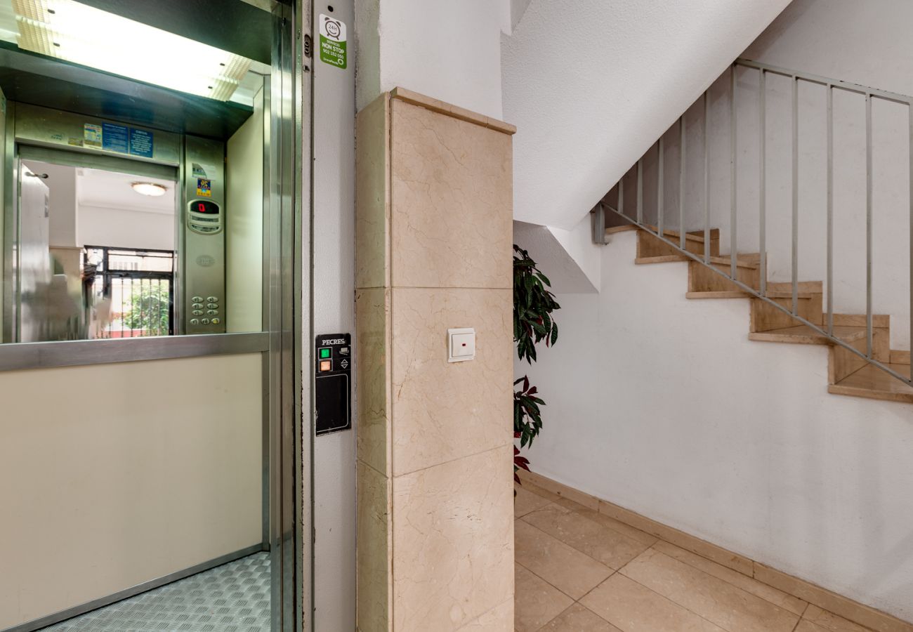 Apartamento en Torrevieja - ID50