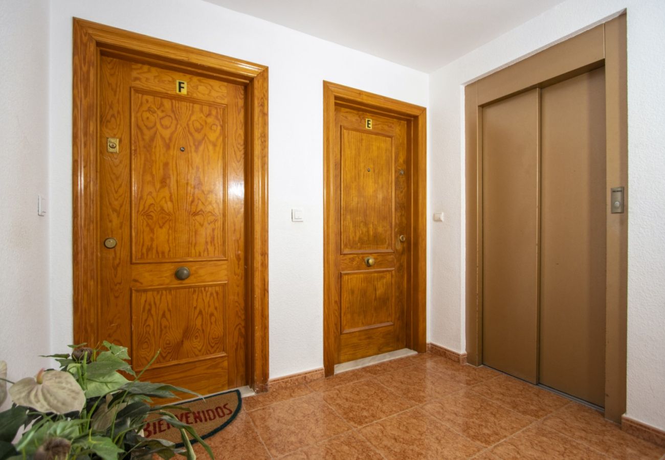 Apartamento en Torrevieja - ID112