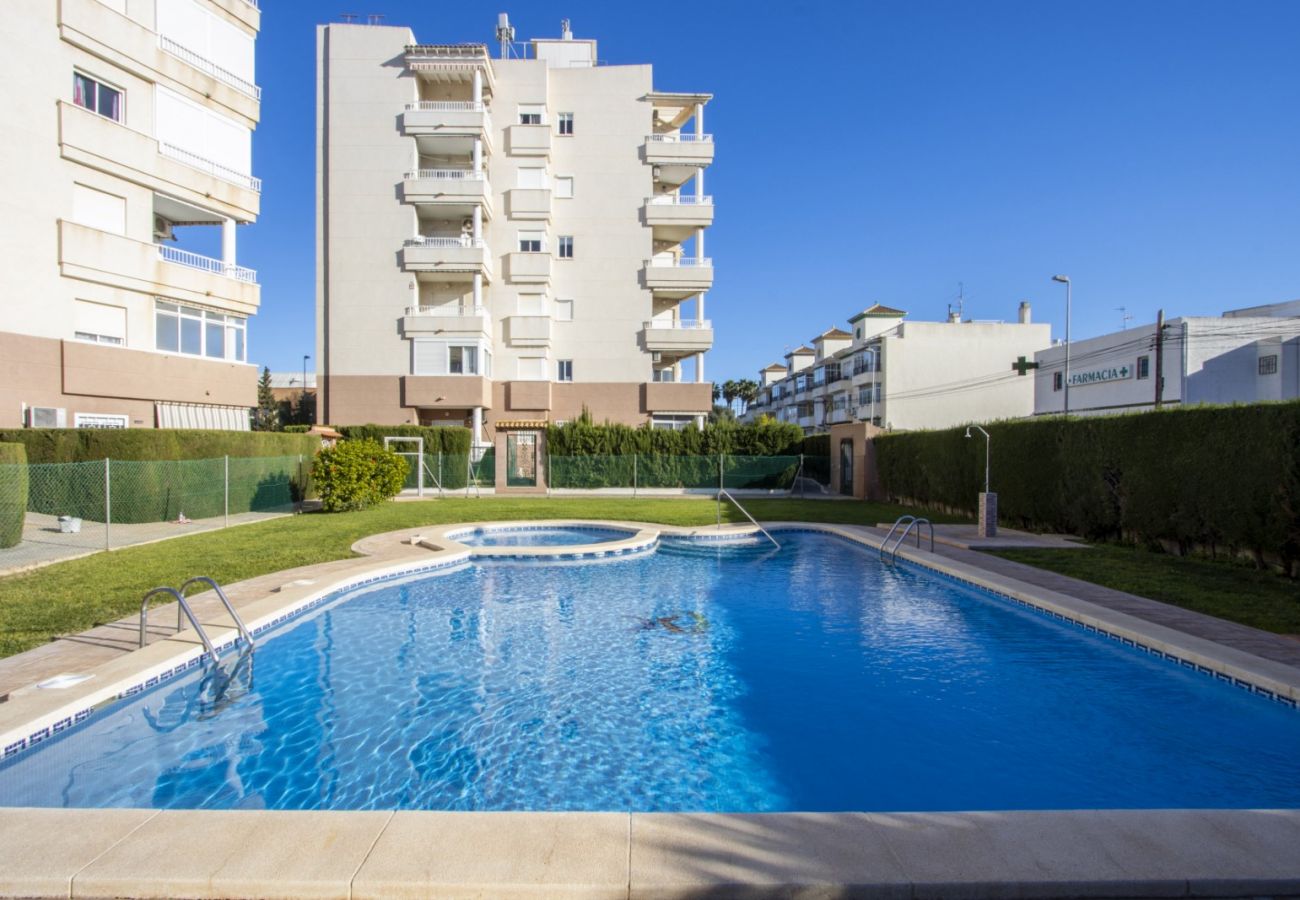 Apartamento en Torrevieja - ID112