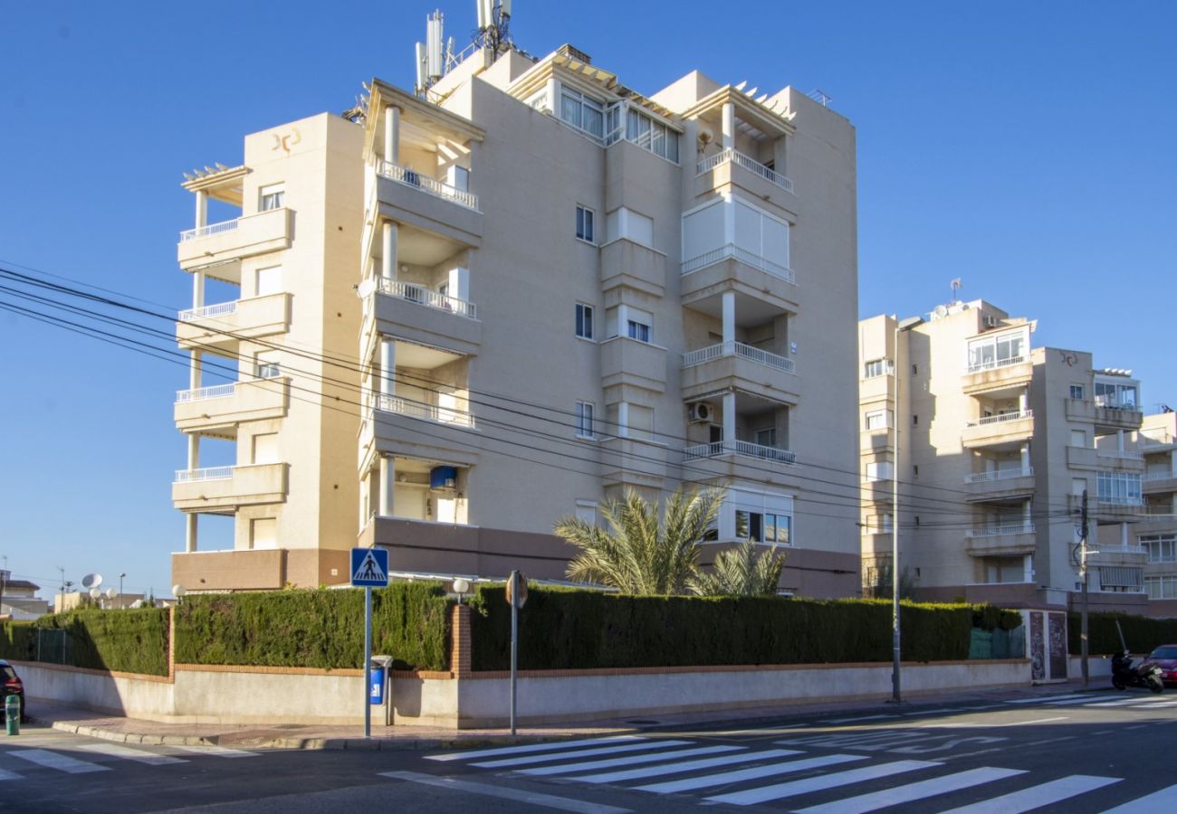 Apartamento en Torrevieja - ID112