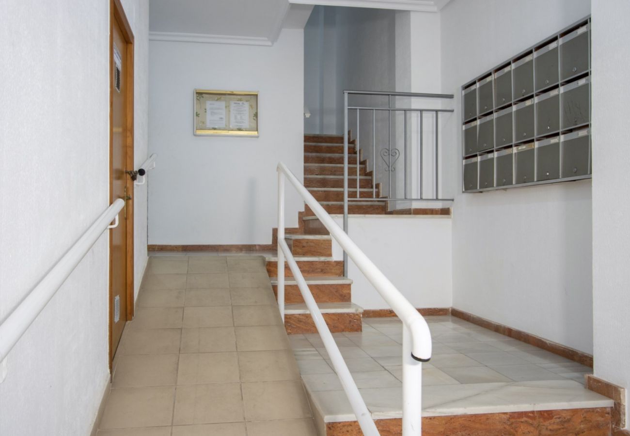 Apartamento en Torrevieja - ID163