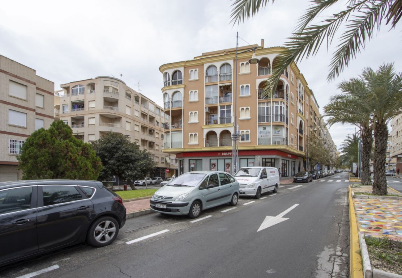 Apartamento en Torrevieja - ID163