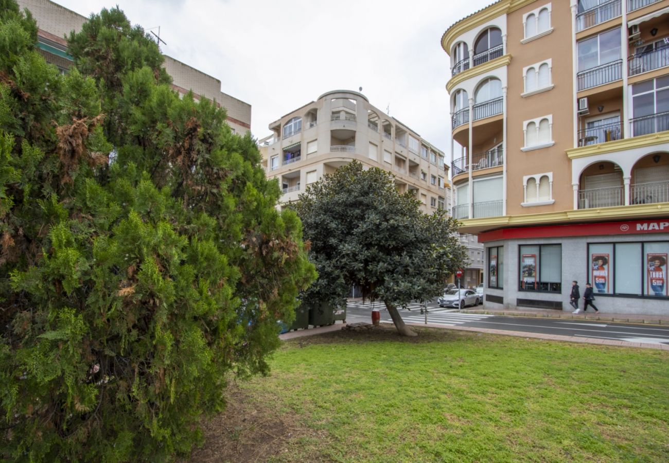 Apartamento en Torrevieja - ID163