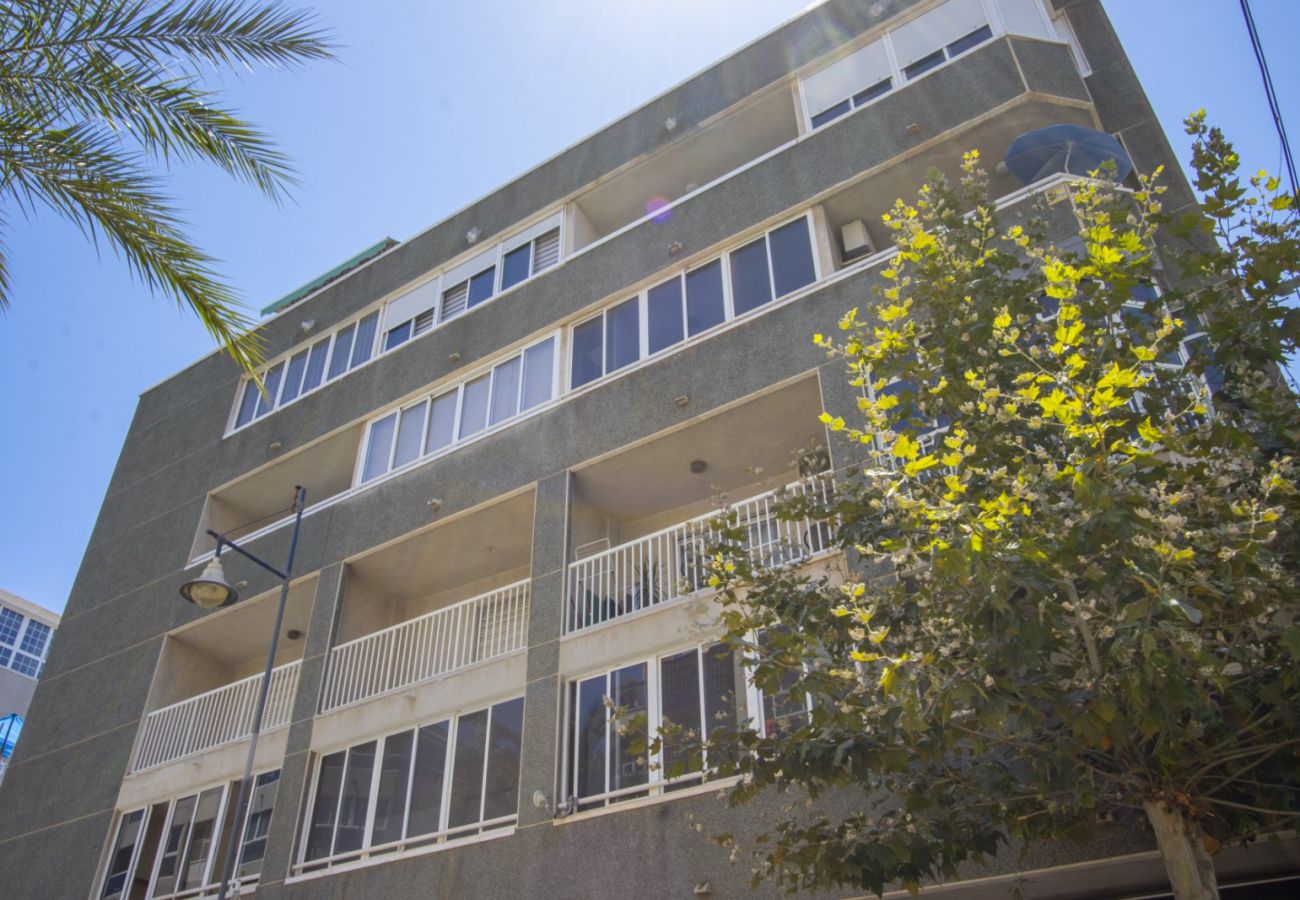 Apartamento en Torrevieja - ID121