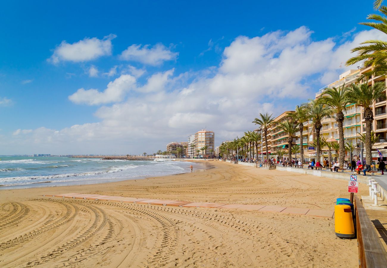 Apartamento en Torrevieja - ID126