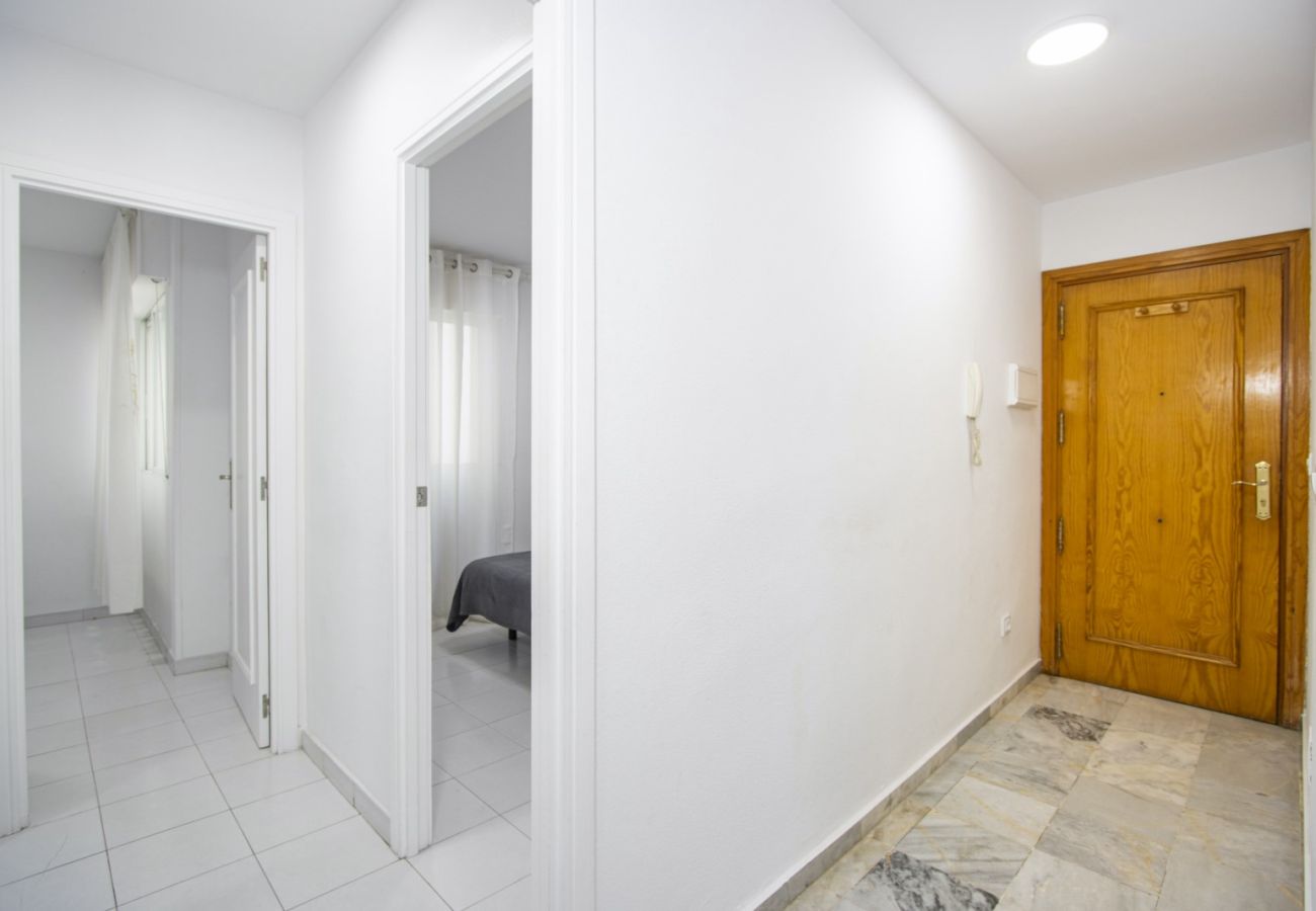 Apartamento en Torrevieja - ID13