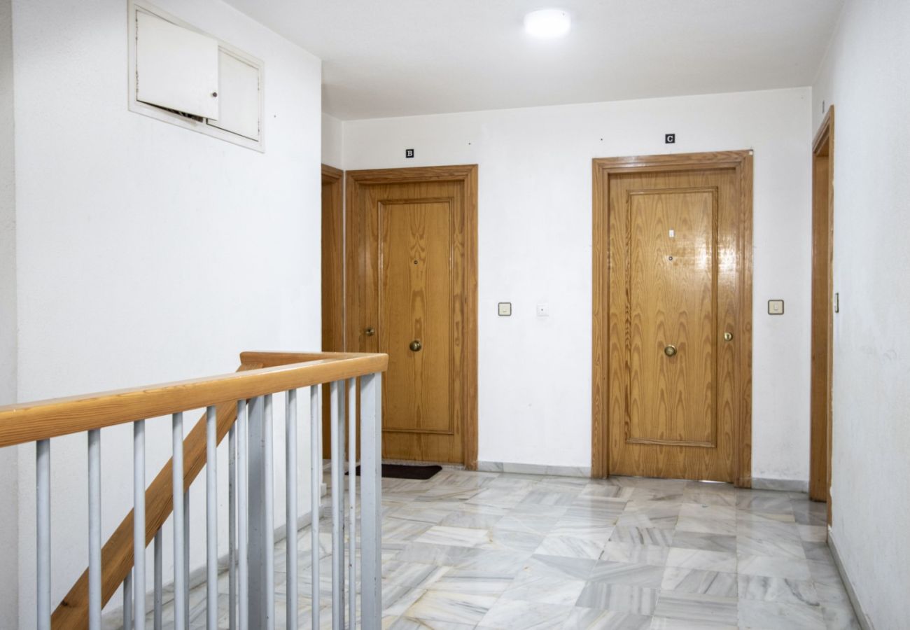 Apartamento en Torrevieja - ID13