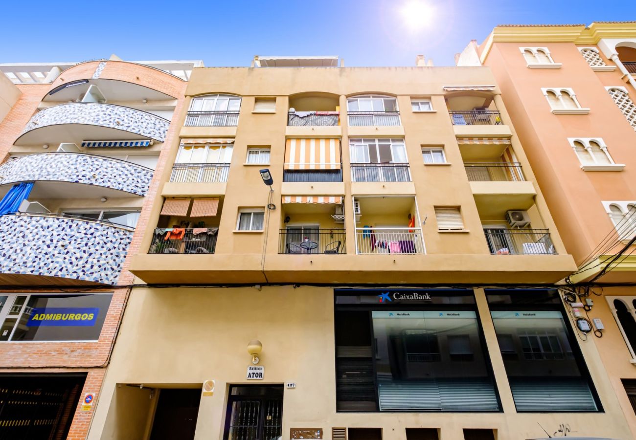 Apartamento en Torrevieja - ID13