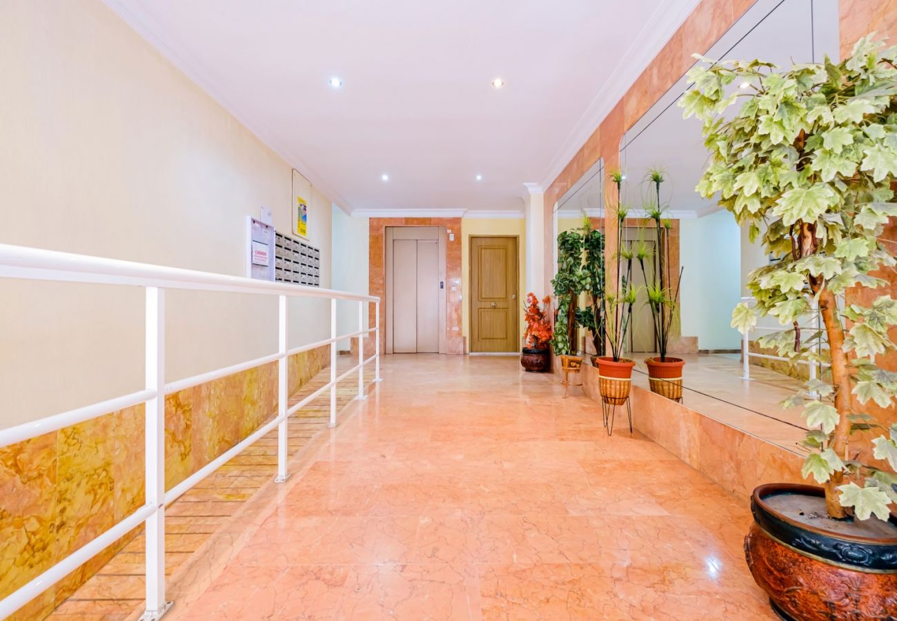 Apartamento en Torrevieja - ID180