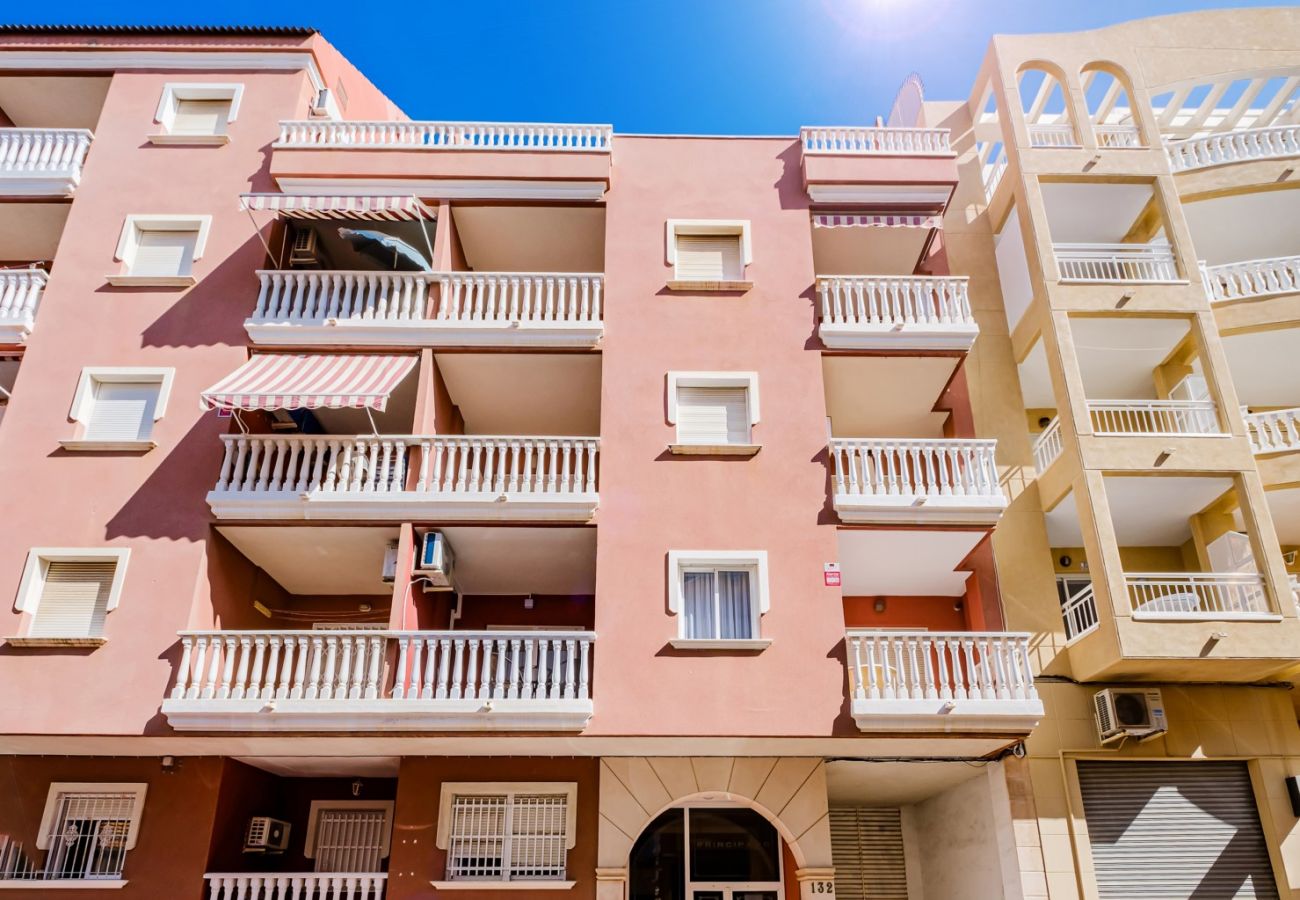 Apartamento en Torrevieja - ID180