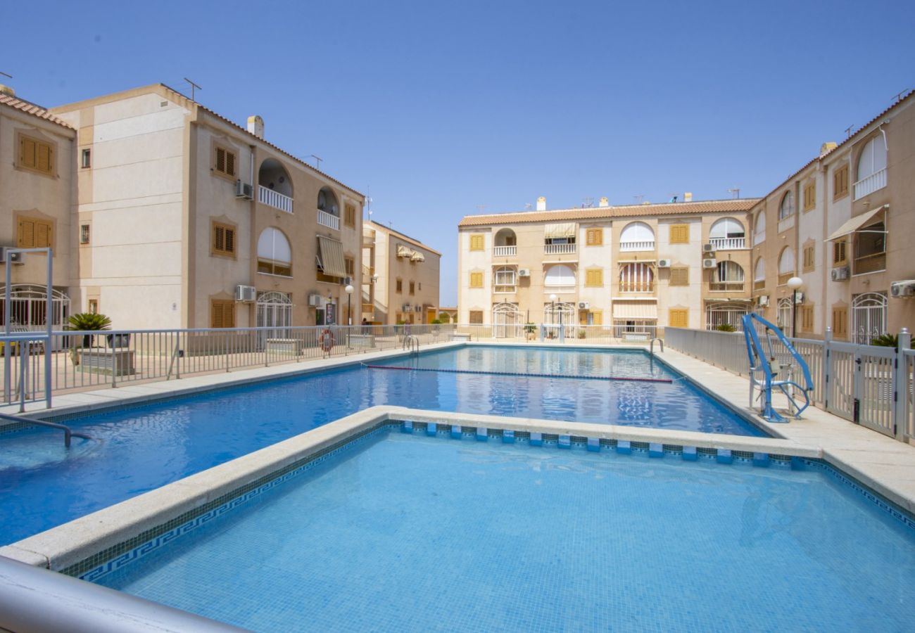 Apartamento en Torrevieja - ID188