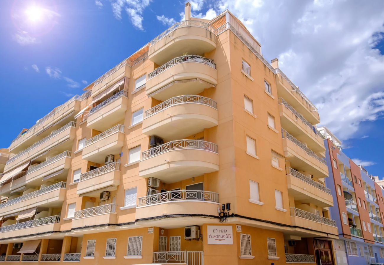 Apartamento en Torrevieja - ID169