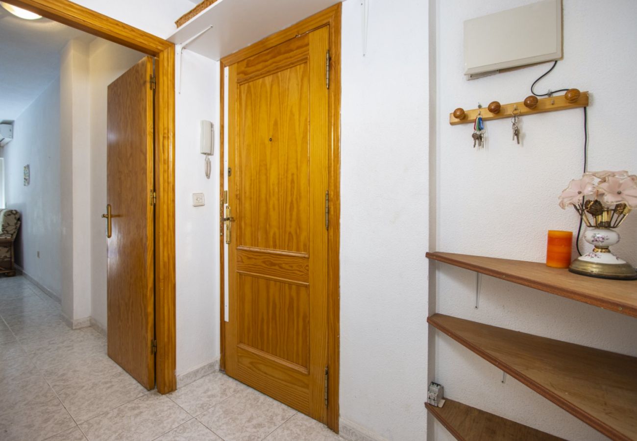 Apartamento en Torrevieja - ID194