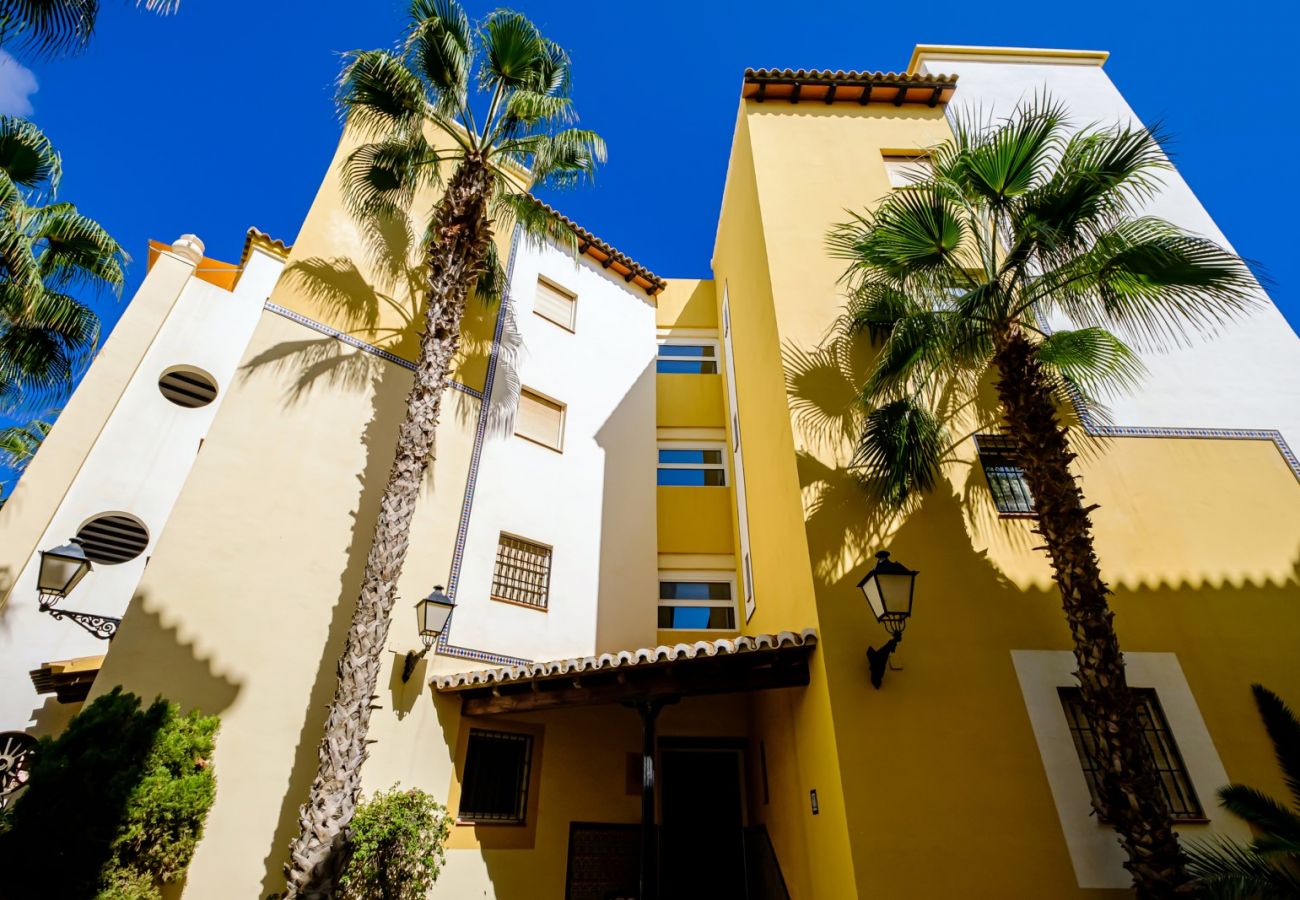 Apartamento en Torrevieja - ID37