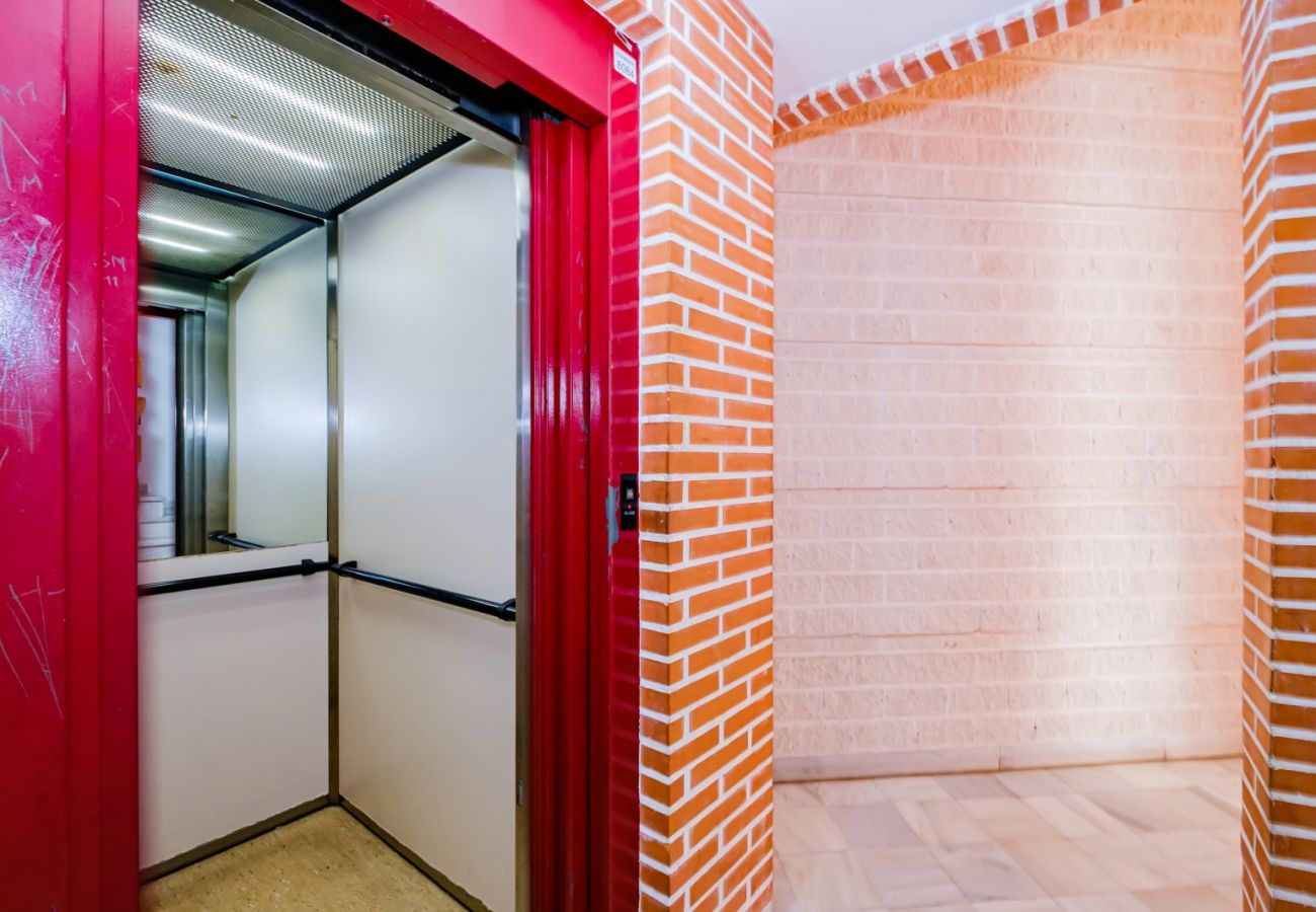 Apartamento en Torrevieja - ID10